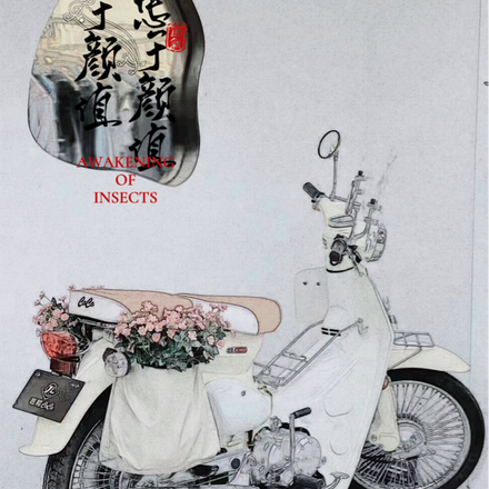 始于颜值忠于颜值