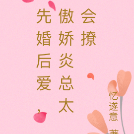 先婚后爱,傲娇炎总太会撩