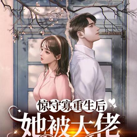 惊!守寡重生后她被大佬宠坏了
