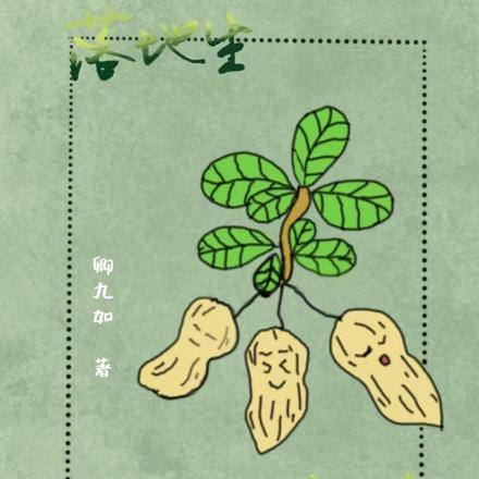 落地生与叶