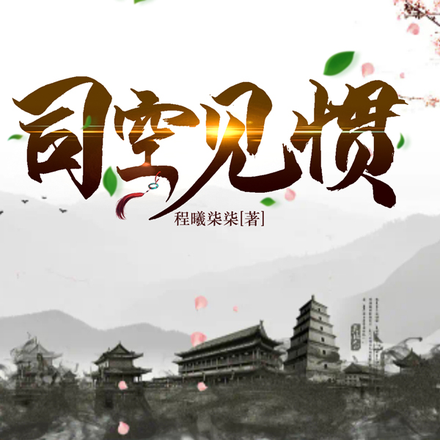 司空见惯