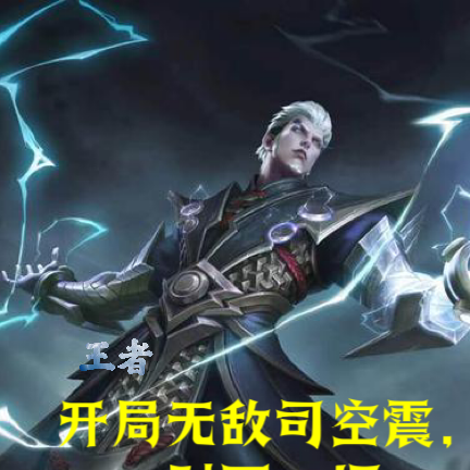 王者,开局无敌司空震,肘死一切