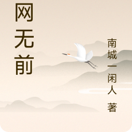 一网无前