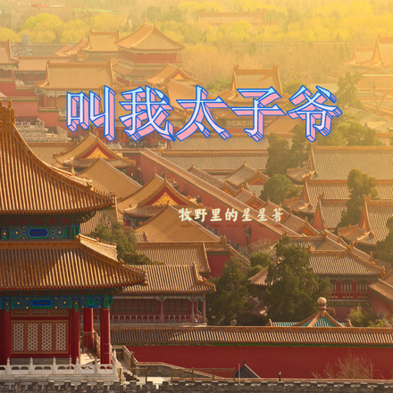叫我太子爷