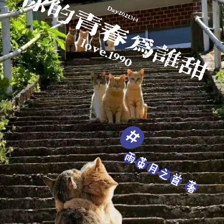 你的青春为谁甜