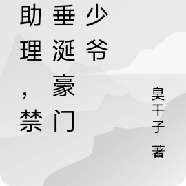 江助理,禁止垂涎豪门小少爷