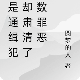他是通缉犯,却肃清了无数罪恶
