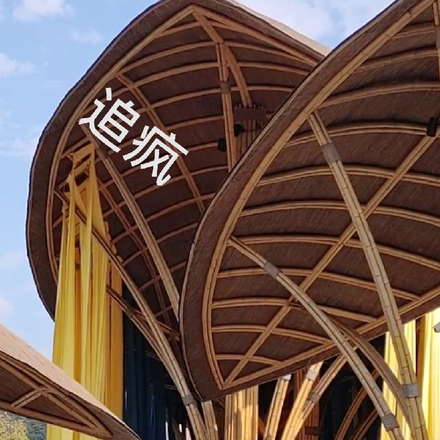 追疯