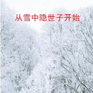 从雪中隐世子开始