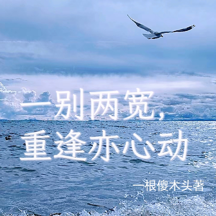 一别两宽,重逢亦心动