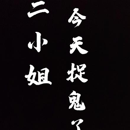 二小姐今天捉鬼了吗