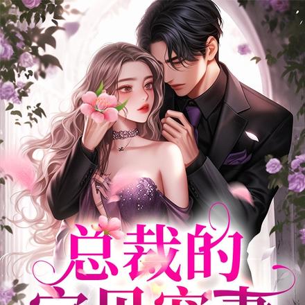 总裁的宝贝宠妻