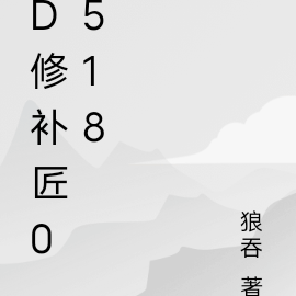 D修补匠0518