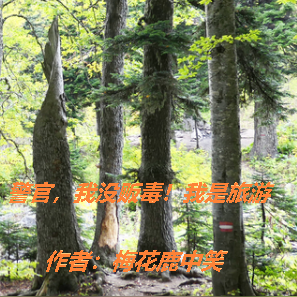 警官,我真没贩毒!我是旅游