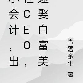 小会计，出任CEO，迎娶白富美