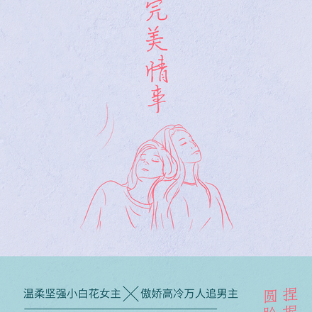 不完美情事