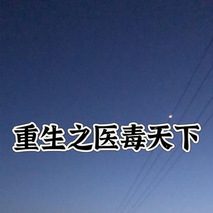 重生之医毒天下