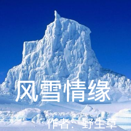 风雪情缘