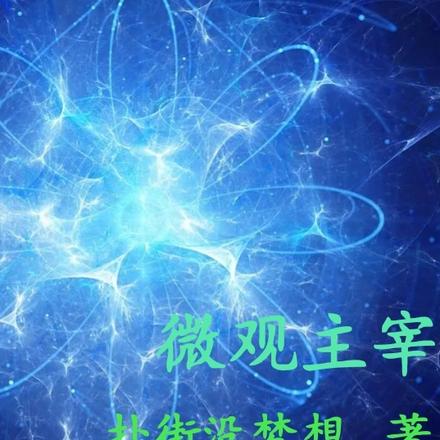 微观主宰