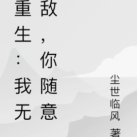 我无敌你随意是什么小说