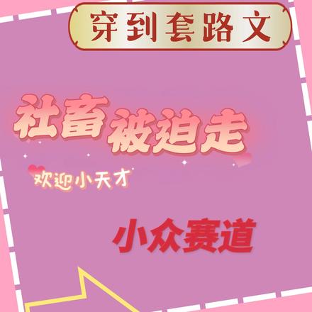 穿到套路文,社畜被迫走小众赛道