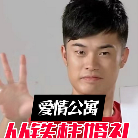 爱情公寓:从铁柱婚礼开始爆笑
