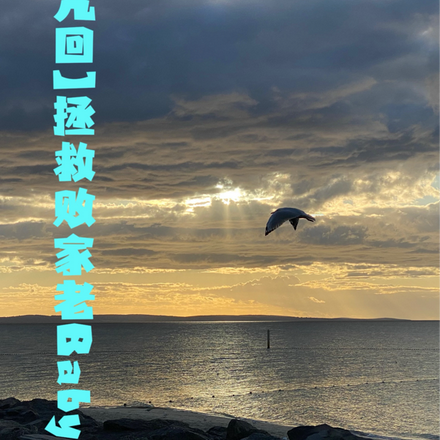 【咒回】拯救败家老Baby们