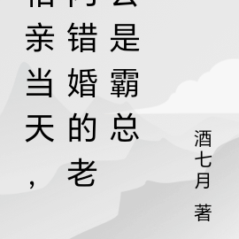 相亲当天,闪错婚的老公是霸总
