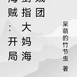 海贼:开局剑指大妈海贼团