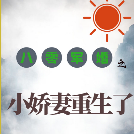 八零军婚之小娇妻重生了