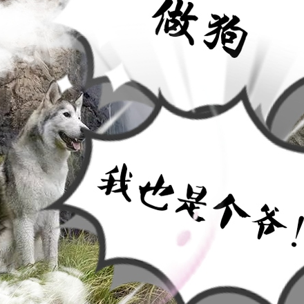 做狗,我也是个爷