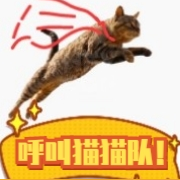 呼叫猫猫队!