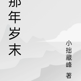那年岁末