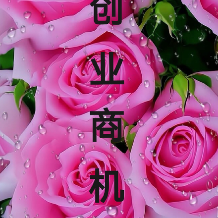 创业商机四
