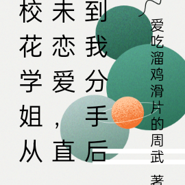 校花学姐从未恋爱,直到我分手后