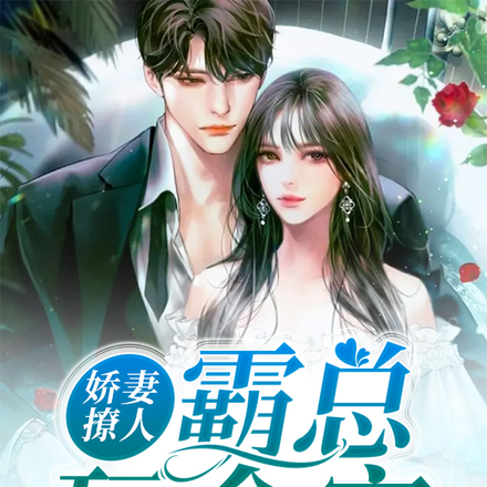 娇妻撩人,霸总玩命宠