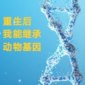 重生后，我能继承动物基因