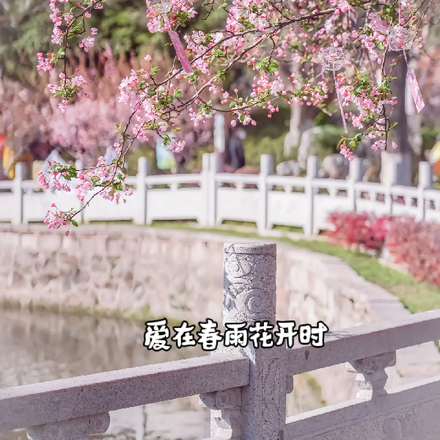 爱在春雨花开时
