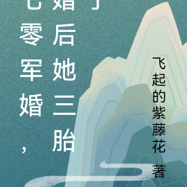 七零军婚,婚后她三胎了
