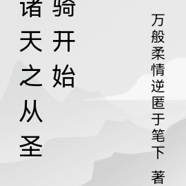 圣骑士的副本诸天