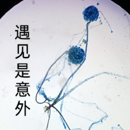 遇见是意外