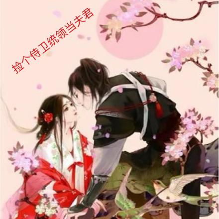 捡个侍卫统领当夫君