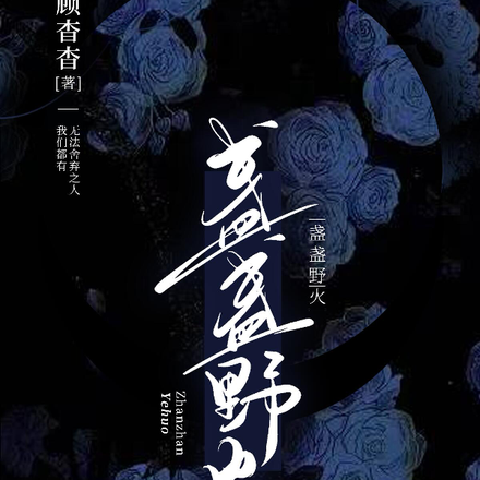 盏盏野火