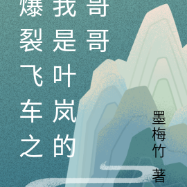 爆裂飞车之我是叶岚的哥哥