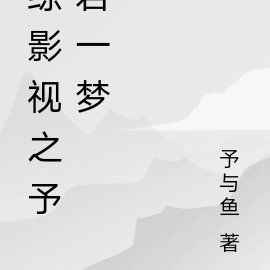 综影视之予君一梦