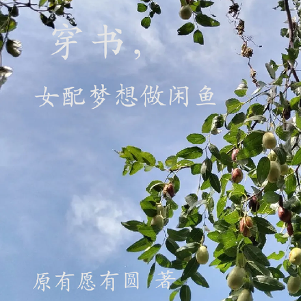 穿书,女配梦想做闲鱼