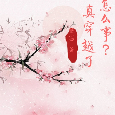 怎么事？真穿越了！