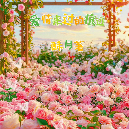 爱情来过的痕迹