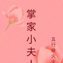 掌家小夫人