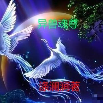 异兽魂尊